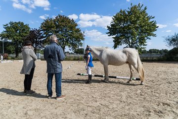 Bild 145 - Pony Akademie Turnier